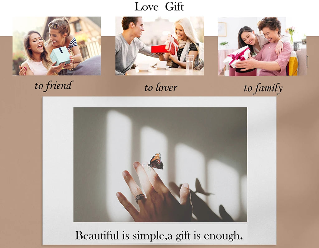 Stainless Steel Shell Rings for Women
